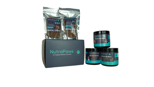 The Total Care Bundle (Dental Chews Edition)