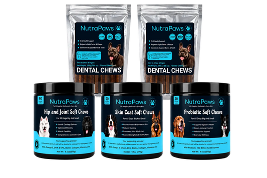 A set of NutraPaws pet dental chew products on a white background, including two stand-up pouches of Dental Chews in the back and three jars of soft chews in the front: Hip and Joint Soft Chews, Skin Coat Soft Chews, and Probiotic Soft Chews.