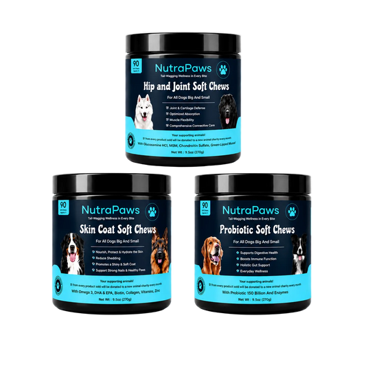 nutrapaws-3-pack.png__PID:6cfd1ed9-c0f4-4d37-b55e-047ab1f8d395