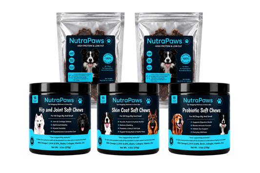 Five NutraPaws pet supplement products arranged on a white background: two stand-up pouches of dog treats at the back and three black plastic tubs of chews in front. The labels are blue and black with white text and dog photos.