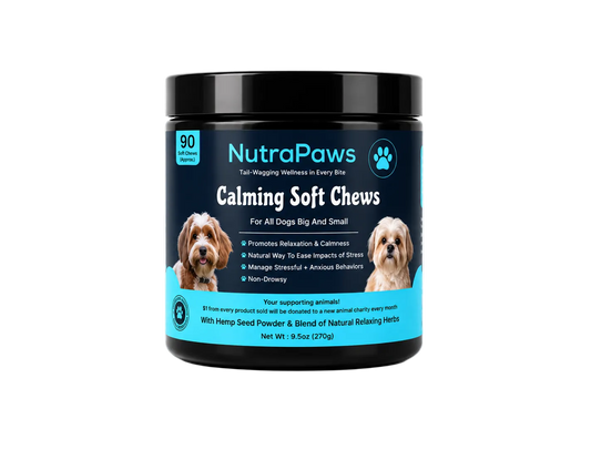 nutrapaws-calming-soft-chews.png__PID:1ed9c0f4-0d37-455e-847a-b1f8d395a5dd