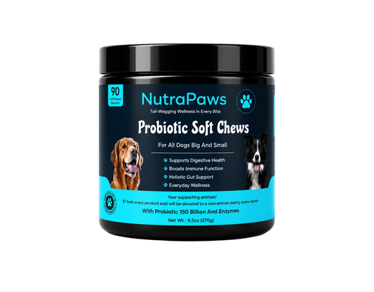 nutrapaws-probiotic-soft-chews.png__PID:f40d37b5-5e04-4ab1-b8d3-95a5ddb0fc6a