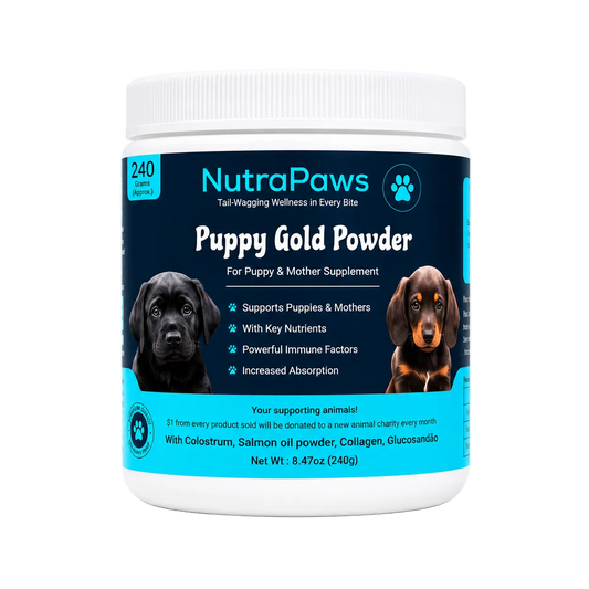 nutrapaws-puppy-gold-powder.png__PID:0d37b55e-047a-41f8-9395-a5ddb0fc6a50