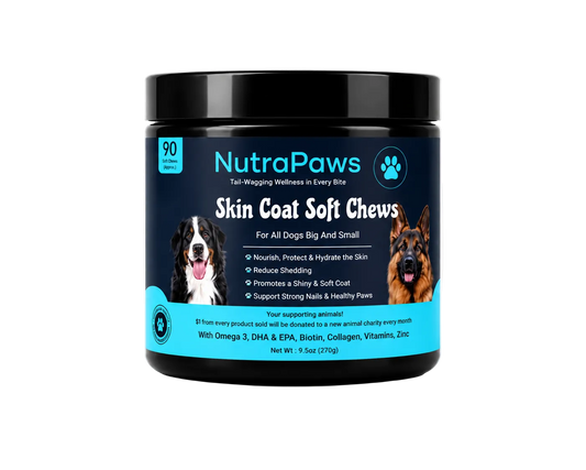 nutrapaws-skin-coat-soft-chews.png__PID:b55e047a-b1f8-4395-a5dd-b0fc6a50bd55